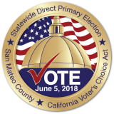 June 5, 2018 Election Pin